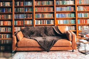 A photo of a brown couch with books behind it on shelves