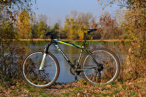 bicycle with lake in the background